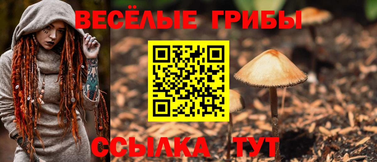 Галлюциногенные грибы Psilocybe  Вход с VPN  где купить   Нововоронеж 