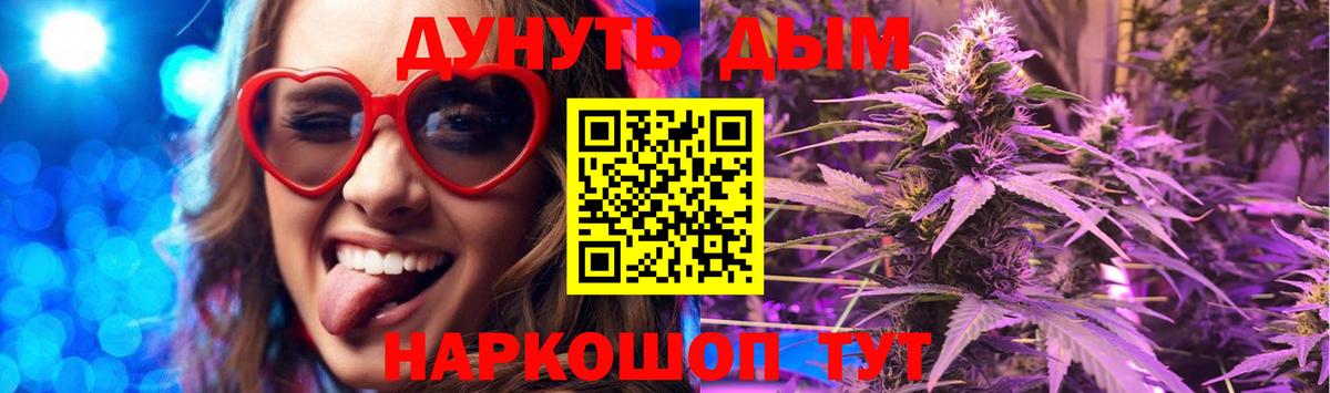 Конопля марихуана Нововоронеж